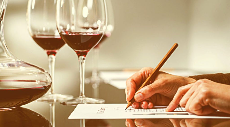 How to Start Learning More about Wines (No Matter What Experience You Currently Have)