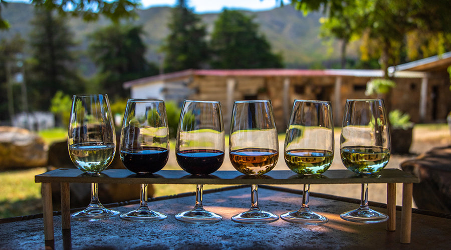Wine Etiquette: Do's and Don'ts at a Wine Tasting
