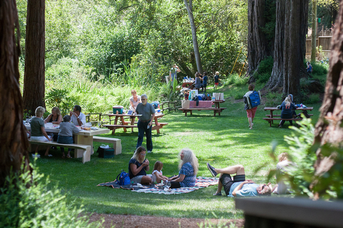 Winery Recommendations: Santa Cruz Mountains Edition