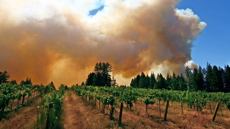 Do I Need to Worry About Smoke in My California Wines?