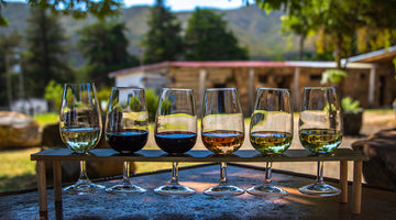 Wine Etiquette: Do's and Don'ts at a Wine Tasting