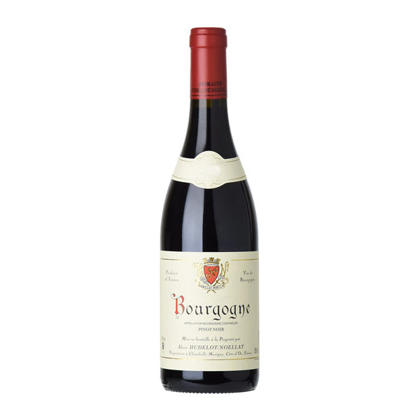 2021 Alain Hudelot-Noellat Bourgogne Rouge, Burgundy, France  [✱]