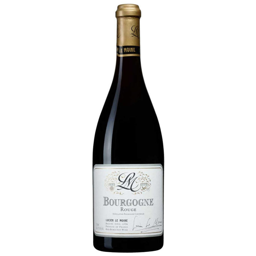2021 Lucien Le Moine Bourgogne Rouge, Burgundy, France  [✱]